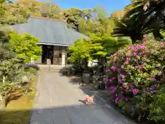 伊勢の国 四天王寺の建物その他