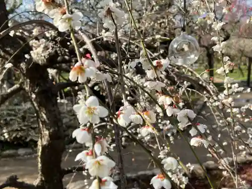 北野天満宮(京都府)