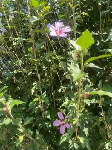 祖母井神社(栃木県)