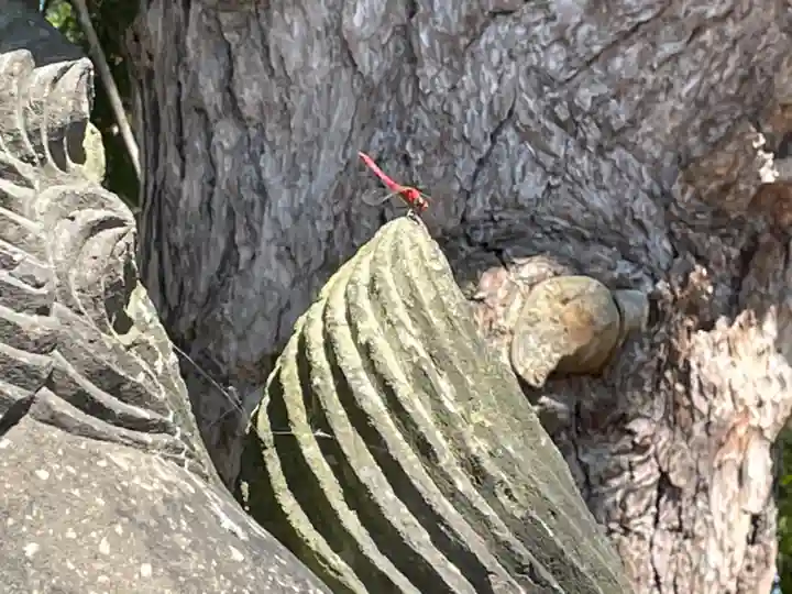 高島神社(北海道)