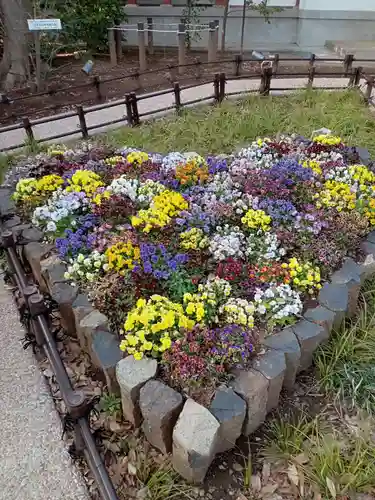 川越八幡宮の自然