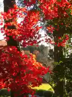 鹿島大神宮の自然