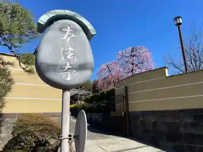 小日向 本法寺の{uncategorized: "未分類", other: "その他", undefined: "問題あり", building: "その他建物", grave: "お墓", sacred_gate: "鳥居", guardian: "狛犬", statue: "像", buddha: "仏像", history: "歴史", nature: "自然", garden: "庭園", animal: "動物", pagoda: "塔", temizu: "手水舎", mountain_gate: "山門・神門", sanctuary: "本殿・本堂", subordinate: "末社・摂社", art: "芸術", scenery: "景色", jizo: "地蔵", ema: "絵馬", goshuin: "御朱印", omikuji: "おみくじ", items: "授与品その他", amulet: "お守り", goshuincho: "御朱印帳", eats: "食事", festival: "お祭り", votive_dance: "神楽", shichigosan: "七五三参", wedding: "結婚式", experience: "体験その他", initially: "初詣", around: "周辺", anti_infection: "感染症対策"}