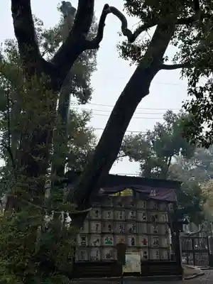 武蔵一宮氷川神社(埼玉県)