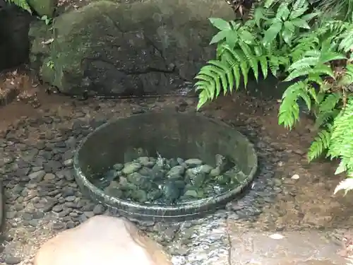 明治神宮(東京都)