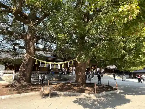 明治神宮(東京都)