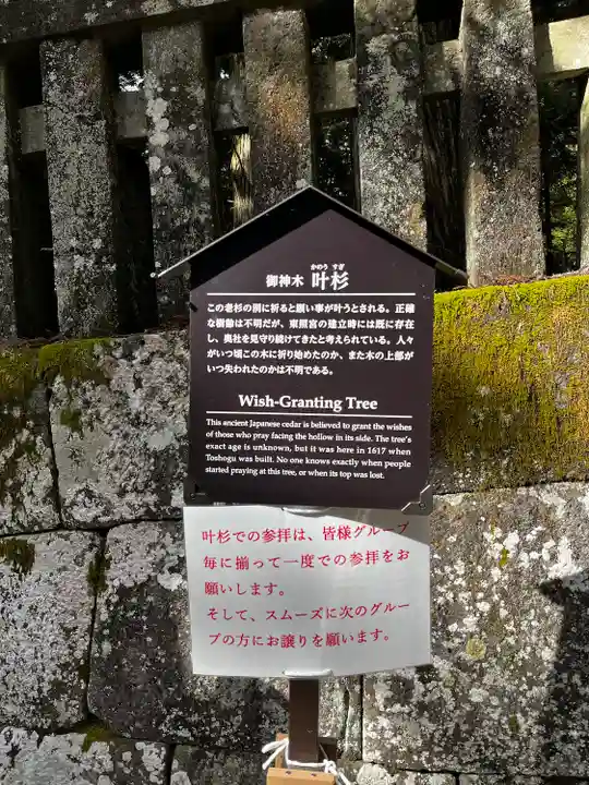 日光東照宮(栃木県)