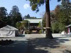 比々多神社の建物その他