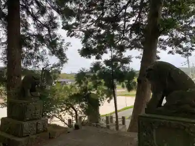 河伯神社の狛犬