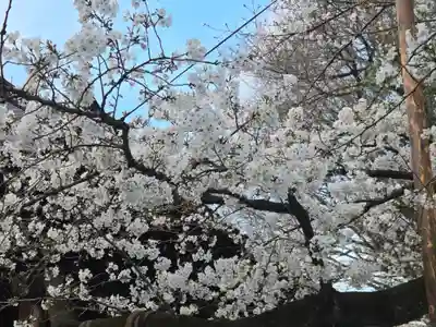 靖國神社(東京都)