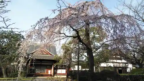 上品蓮台寺の自然