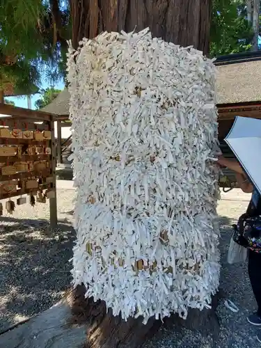 出雲大社(島根県)