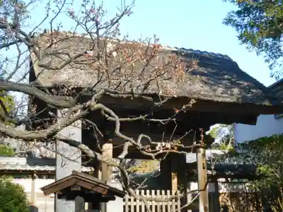 極楽寺（霊鷲山感應院極楽律寺）の山門・神門