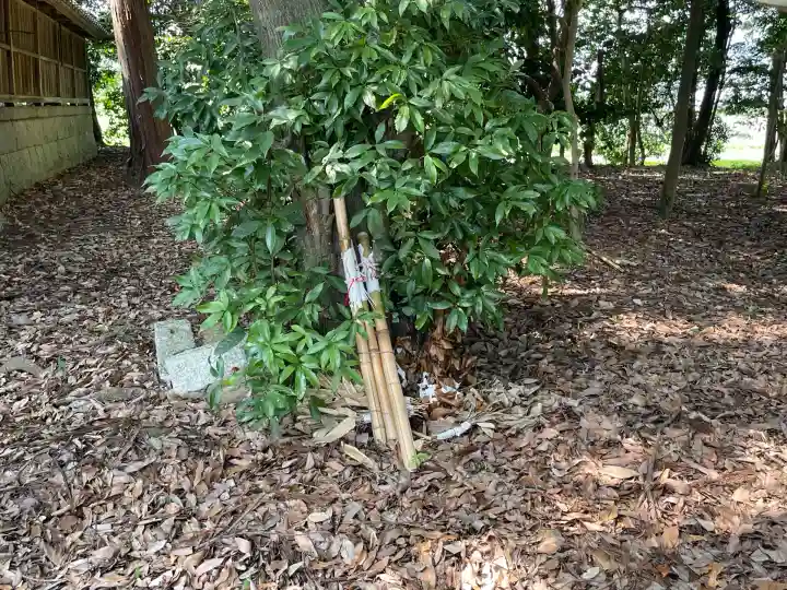 宇賀神社(滋賀県)