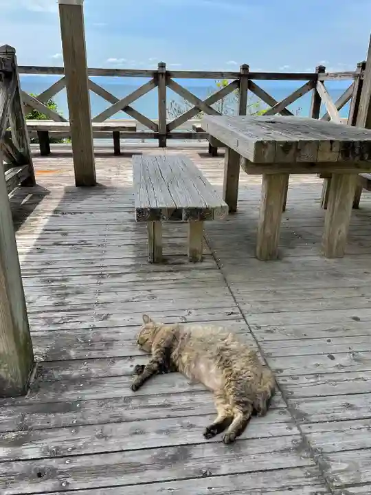 菅原神社の動物