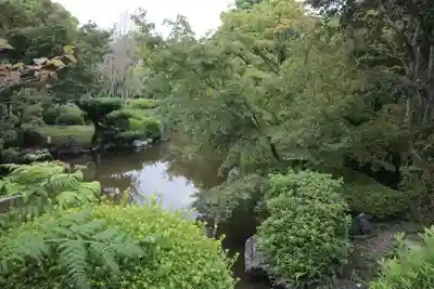 東寺（教王護国寺）(京都府)