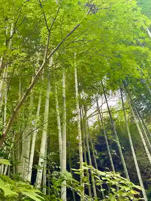 明月院(神奈川県)