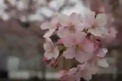 今戸神社(東京都)