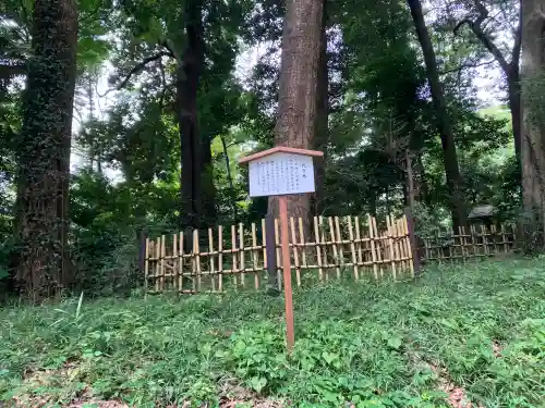 明治神宮(東京都)