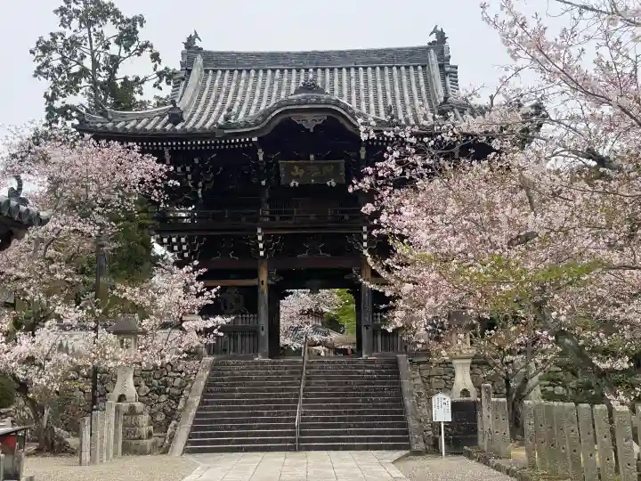 粉河寺の{uncategorized: "未分類", other: "その他", undefined: "問題あり", building: "その他建物", grave: "お墓", sacred_gate: "鳥居", guardian: "狛犬", statue: "像", buddha: "仏像", history: "歴史", nature: "自然", garden: "庭園", animal: "動物", pagoda: "塔", temizu: "手水舎", mountain_gate: "山門・神門", sanctuary: "本殿・本堂", subordinate: "末社・摂社", art: "芸術", scenery: "景色", jizo: "地蔵", ema: "絵馬", goshuin: "御朱印", omikuji: "おみくじ", items: "授与品その他", amulet: "お守り", goshuincho: "御朱印帳", eats: "食事", festival: "お祭り", votive_dance: "神楽", shichigosan: "七五三参", wedding: "結婚式", experience: "体験その他", initially: "初詣", around: "周辺", anti_infection: "感染症対策"}