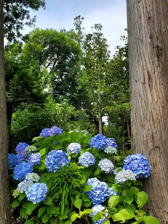 隠津島神社(福島県)