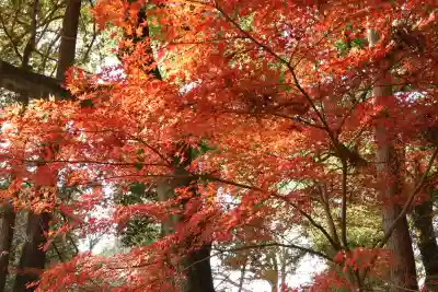 間々田八幡宮(栃木県)