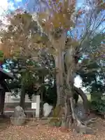 安産神社(千葉県)