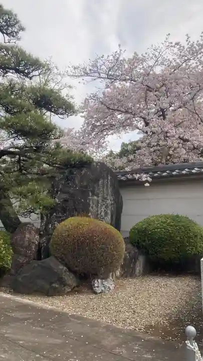 禪定院(東京都)