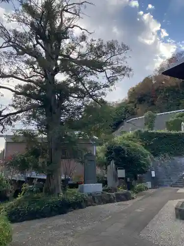 宝珠院(神奈川県)