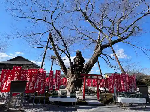 秩父今宮神社(埼玉県)
