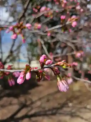 美幌神社(北海道)