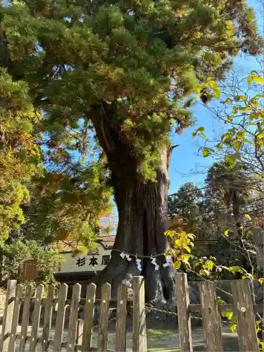 筑波山神社(茨城県)