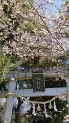 五所駒瀧神社の鳥居