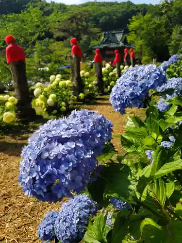 陽林寺(福島県)
