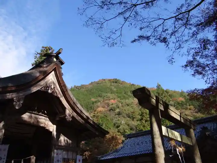 大矢田神社(岐阜県)