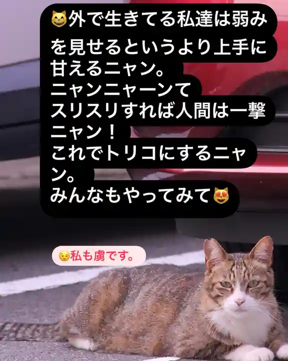 専念寺(大阪府)