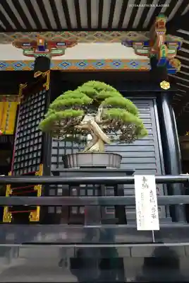香取神宮(千葉県)