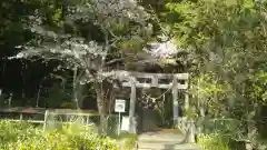 鹿島神社の建物その他