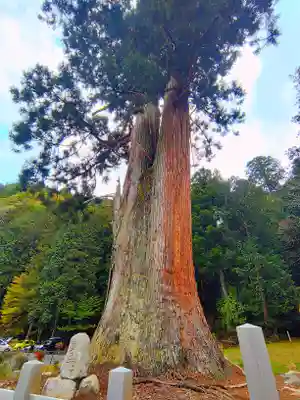 室生龍穴神社の自然