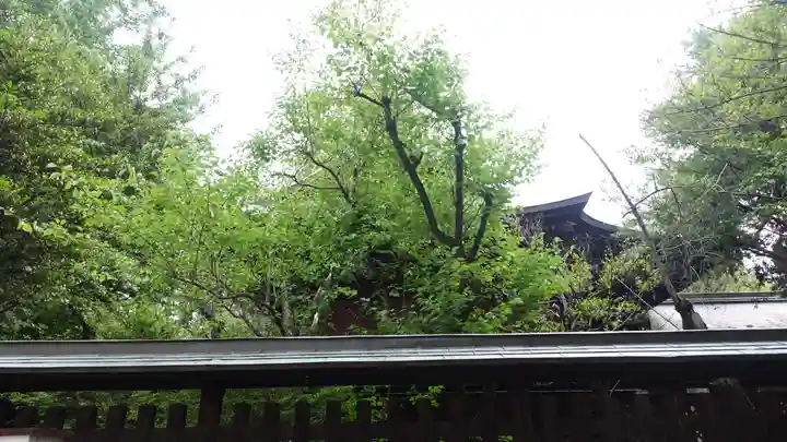 甲斐國一宮 浅間神社(山梨県)