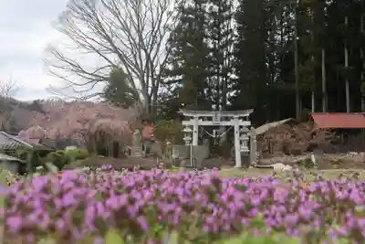 熊野神社の鳥居