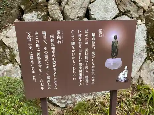 東大寺別院阿弥陀寺の{uncategorized: "未分類", other: "その他", undefined: "問題あり", building: "その他建物", grave: "お墓", sacred_gate: "鳥居", guardian: "狛犬", statue: "像", buddha: "仏像", history: "歴史", nature: "自然", garden: "庭園", animal: "動物", pagoda: "塔", temizu: "手水舎", mountain_gate: "山門・神門", sanctuary: "本殿・本堂", subordinate: "末社・摂社", art: "芸術", scenery: "景色", jizo: "地蔵", ema: "絵馬", goshuin: "御朱印", omikuji: "おみくじ", items: "授与品その他", amulet: "お守り", goshuincho: "御朱印帳", eats: "食事", festival: "お祭り", votive_dance: "神楽", shichigosan: "七五三参", wedding: "結婚式", experience: "体験その他", initially: "初詣", around: "周辺", anti_infection: "感染症対策"}