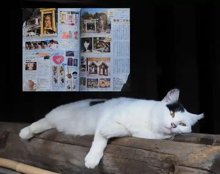 今市報徳二宮神社の御朱印