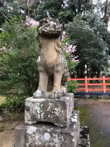 出石神社の狛犬