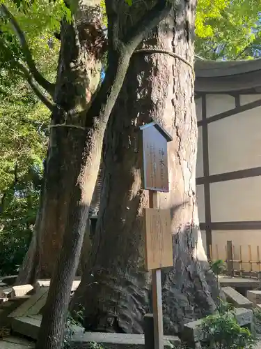 川越氷川神社(埼玉県)
