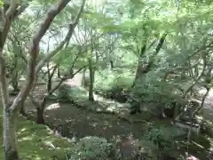 勝持寺（花の寺）(京都府)