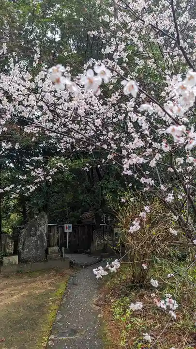 十輪寺(京都府)