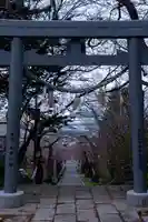 住三吉神社の鳥居