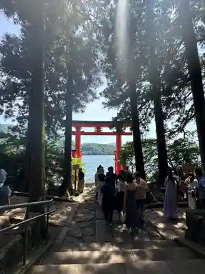箱根神社(神奈川県)