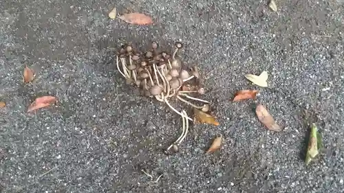 足切神社(福岡県)